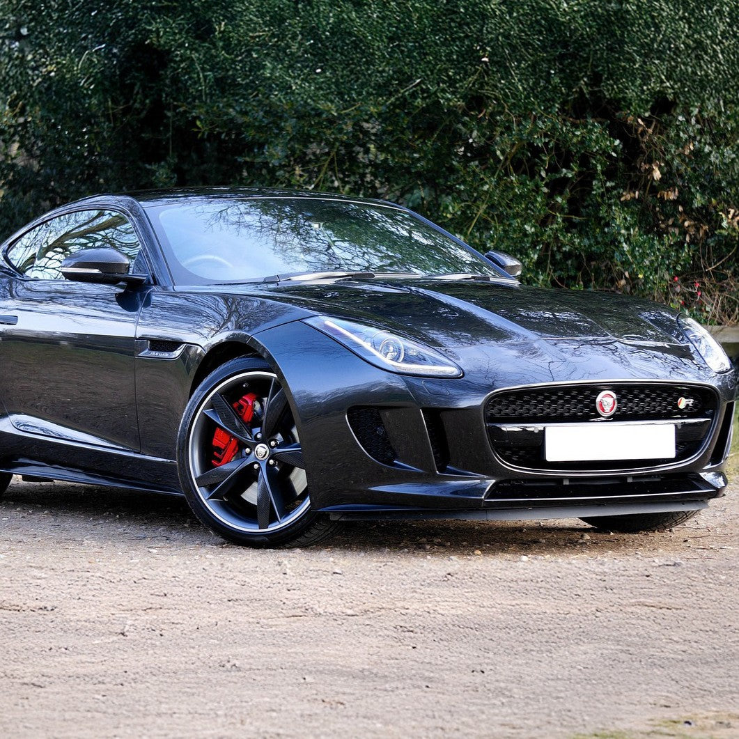 Jaguar