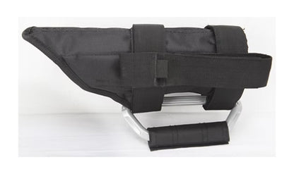 Classic Grab Handle with Torch Light Holder (1pc)