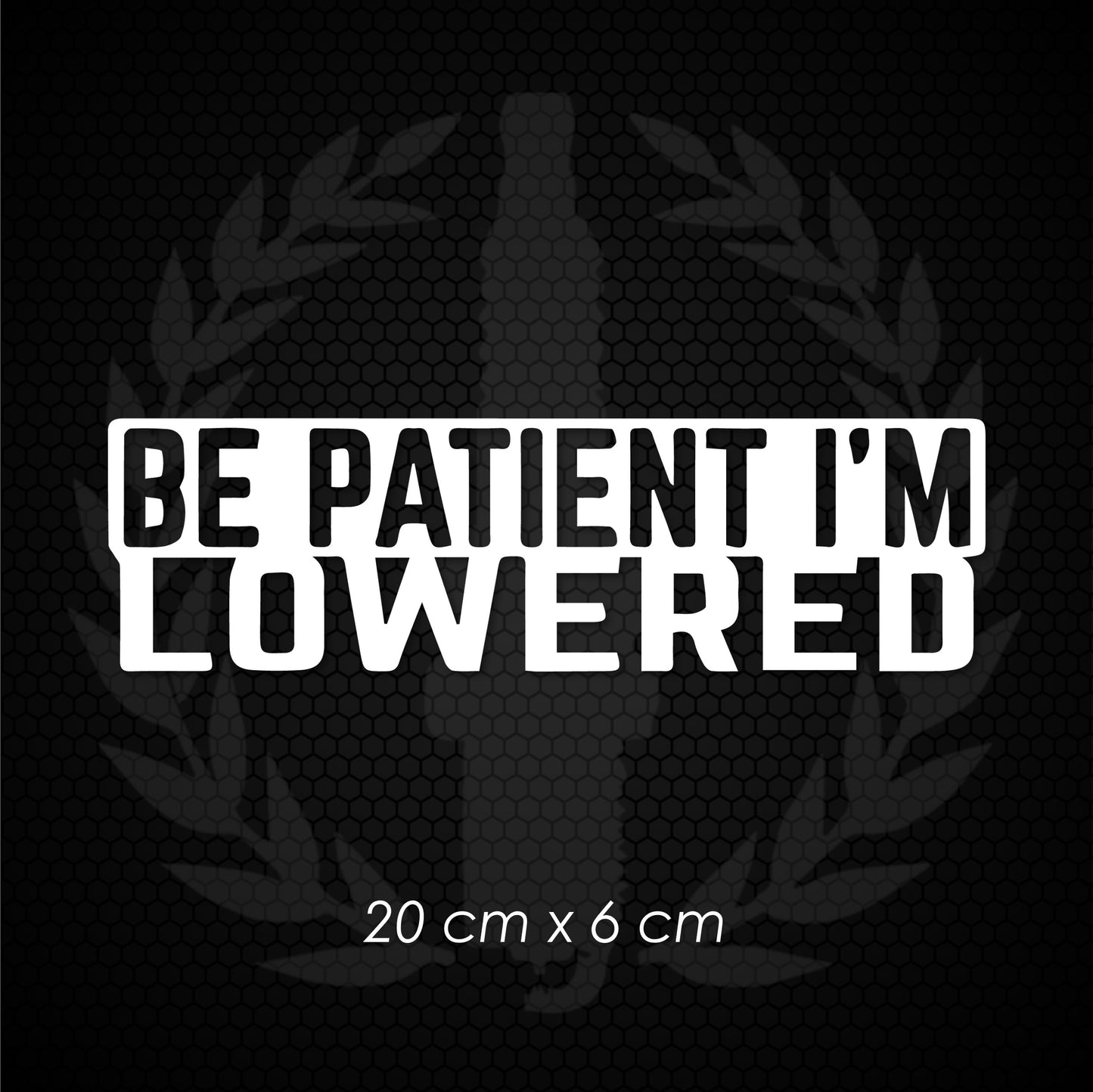 Vinyl Decal - Be Patient I'm Lowered